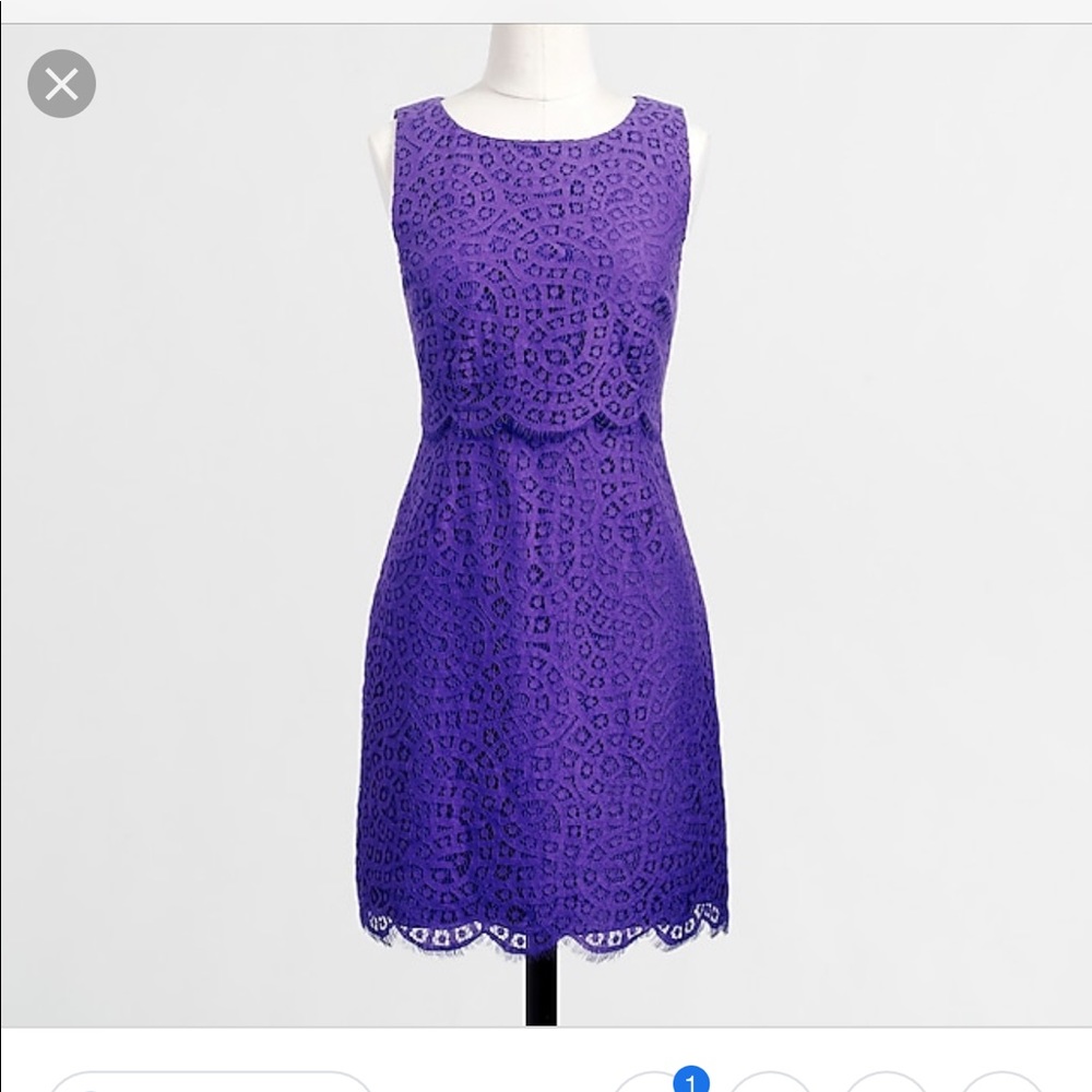 EUC J. Crew Factory Lace shift dress Size 12